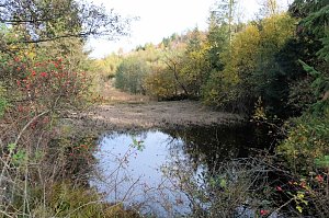 Sonntagswanderung an der Hassel-Vorsperre