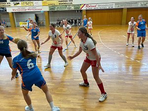 NSV-Handball am Wochenende