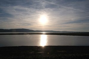 Vogelparadies am Stausee Kelbra