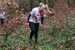 1. Hindernislauf am Harzer Hexenbesen