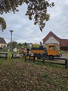 Kirmesburschen bauen eine neuen Schaukel auf