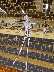 Viel zu tun f&uuml;r die Handballer des NSV