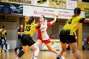Viel zu tun f&uuml;r die Handballer des NSV