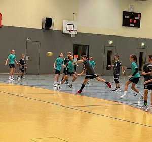 Viel zu tun f&uuml;r die Handballer des NSV