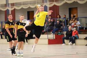 Viel zu tun f&uuml;r die Handballer des NSV