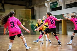 Viel zu tun f&uuml;r die Handballer des NSV