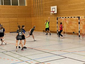 Viel zu tun f&uuml;r die Handballer des NSV