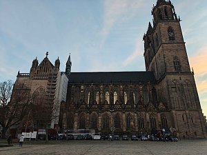 Peter in Magdeburg