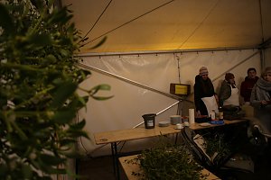 Adventssonntag in Nordhausen