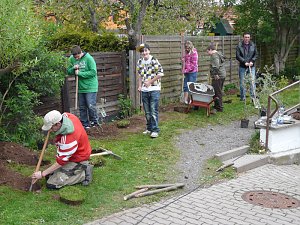 Pflanze deinen Strauch
