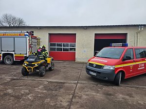 Entlaufener Hund ist wieder da