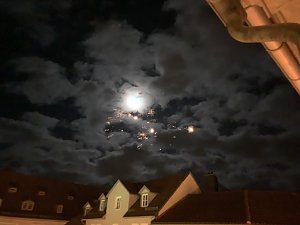 Das Jahr 2024 in Bad Langensalza
