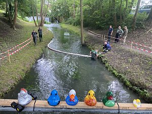Das Jahr 2024 in Bad Langensalza - vor dem Entenrennen