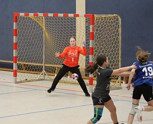 Acht Spiele, sechs Siege - die NSV Handballer sind gut in die Saison gestartet