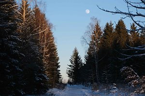 Winterlicher Harzausflug mit Kamera