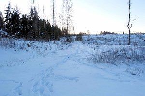 Winterlicher Harzausflug mit Kamera