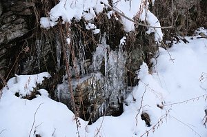 Winterlicher Harzausflug mit Kamera