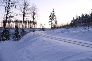 Winterlicher Harzausflug mit Kamera