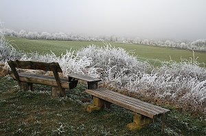Winter in der Goldenen Aue