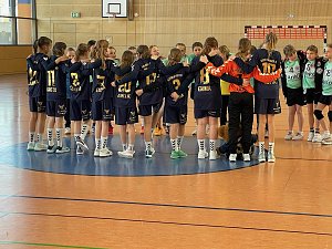 Durchwachsenes Handballwochenende f&uuml;r die Nordh&auml;user Mannschaften