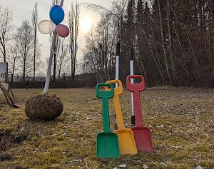 Babybaumaktion in Sondershausen