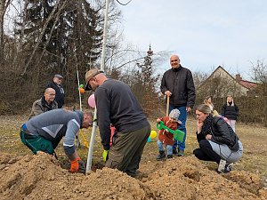 Babybaumaktion in Sondershausen