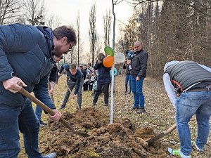 Babybaumaktion in Sondershausen