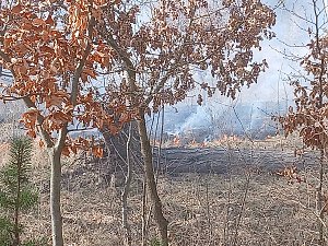 Fl&auml;chenbrand bei Bad Frankenhausen