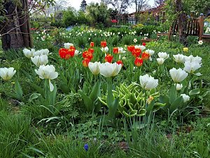 Vorbereitungen f&uuml;r die Landesgartenschau laufen