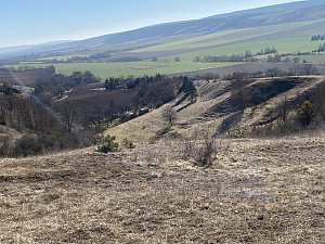 Hainleite Wanderclub: Wanderung M&auml;rz 2025