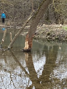 Hainleite Wanderclub: Wanderung M&auml;rz 2025