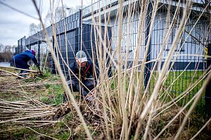 Arbeitseinsatz der SUP Piraten