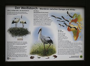Storchenfest