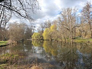 Biberspuren am Gondelteich?