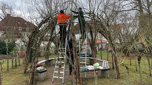 Arbeit am "Gr&uuml;nen Klassenzimmer" des F&ouml;rderzentrums Pestalozzi