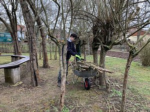 Arbeit am "Gr&uuml;nen Klassenzimmer" des F&ouml;rderzentrums Pestalozzi