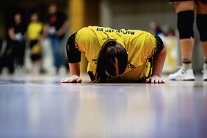 Endrundenturnier in der Landesmeisterschaft