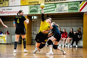 Endrundenturnier in der Landesmeisterschaft
