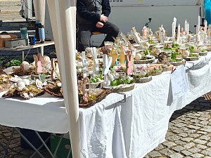 Fr&uuml;hlingsmarkt auf dem Rathausplatz in Nordhausen