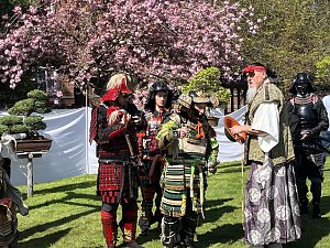 Hanami im Japanischen Garten