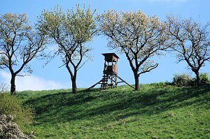 Unterwegs am Rosenteich
