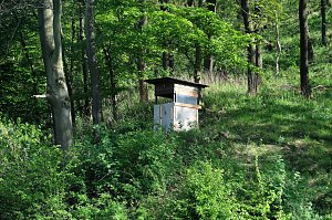 Unterwegs am Rosenteich