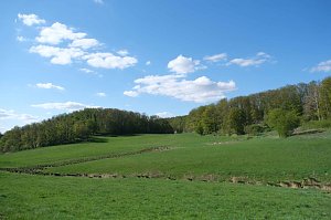 Unterwegs am Rosenteich