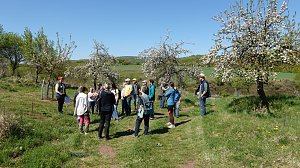 Streuobsttag am Neust&auml;dter Rosenteich