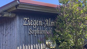 Almauftrieb Sophienhof 2025