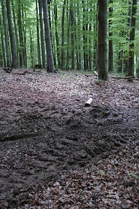 Ein Wort, ein Weg