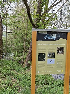 Impressionen von einer doppelten Harzquerung