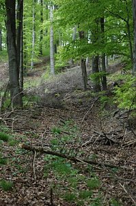 Ein Wort, ein Weg