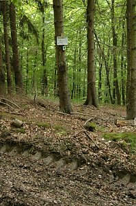 Ein Wort, ein Weg