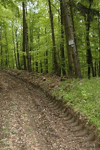 Ein Wort, ein Weg